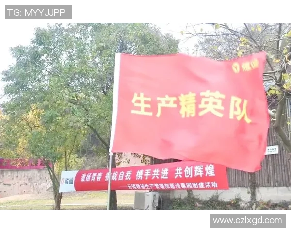 南京飞盘队的运营革新探索与实践：从团队建设到市场推广的全方位提升