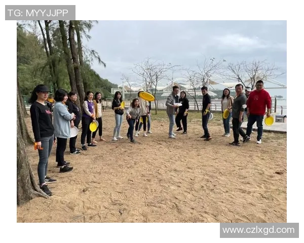 飞盘魅力揭秘杭州飞盘队如何实现战术转换与团队协作